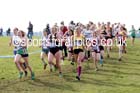 Womens under-17s 2016 Inter Counties Cross Country Champs. and Cross Challenge Final, Cofton Park, Birmingham. Photo: David T. Hewitson/Sports for All Pics